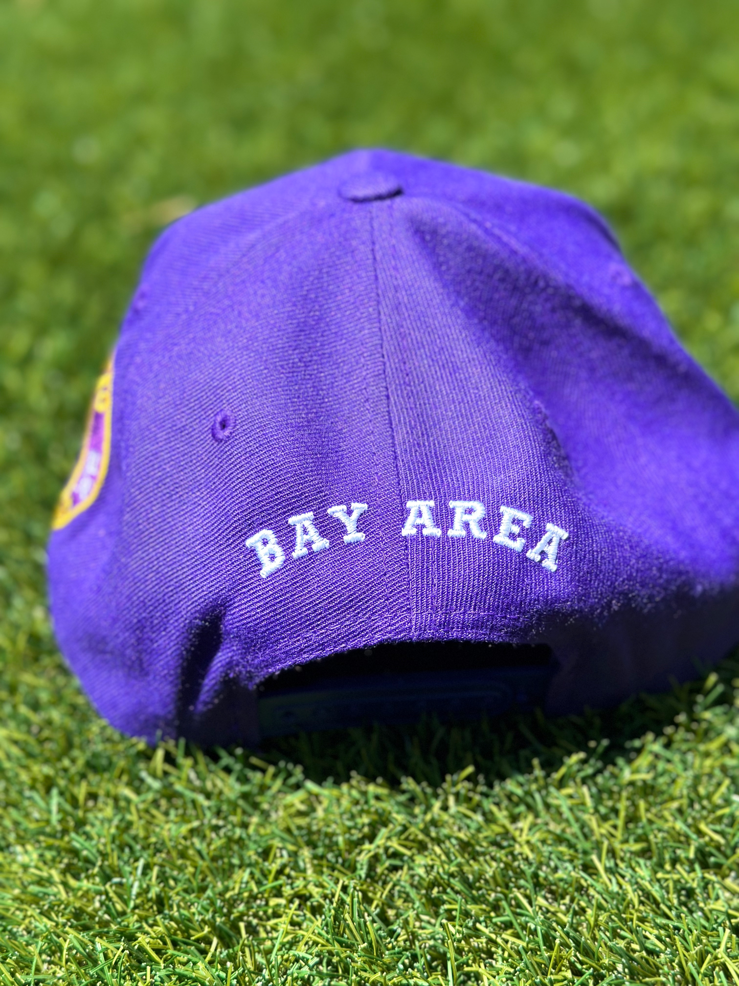 BA Stunnas 6 Panel Snapback Purple