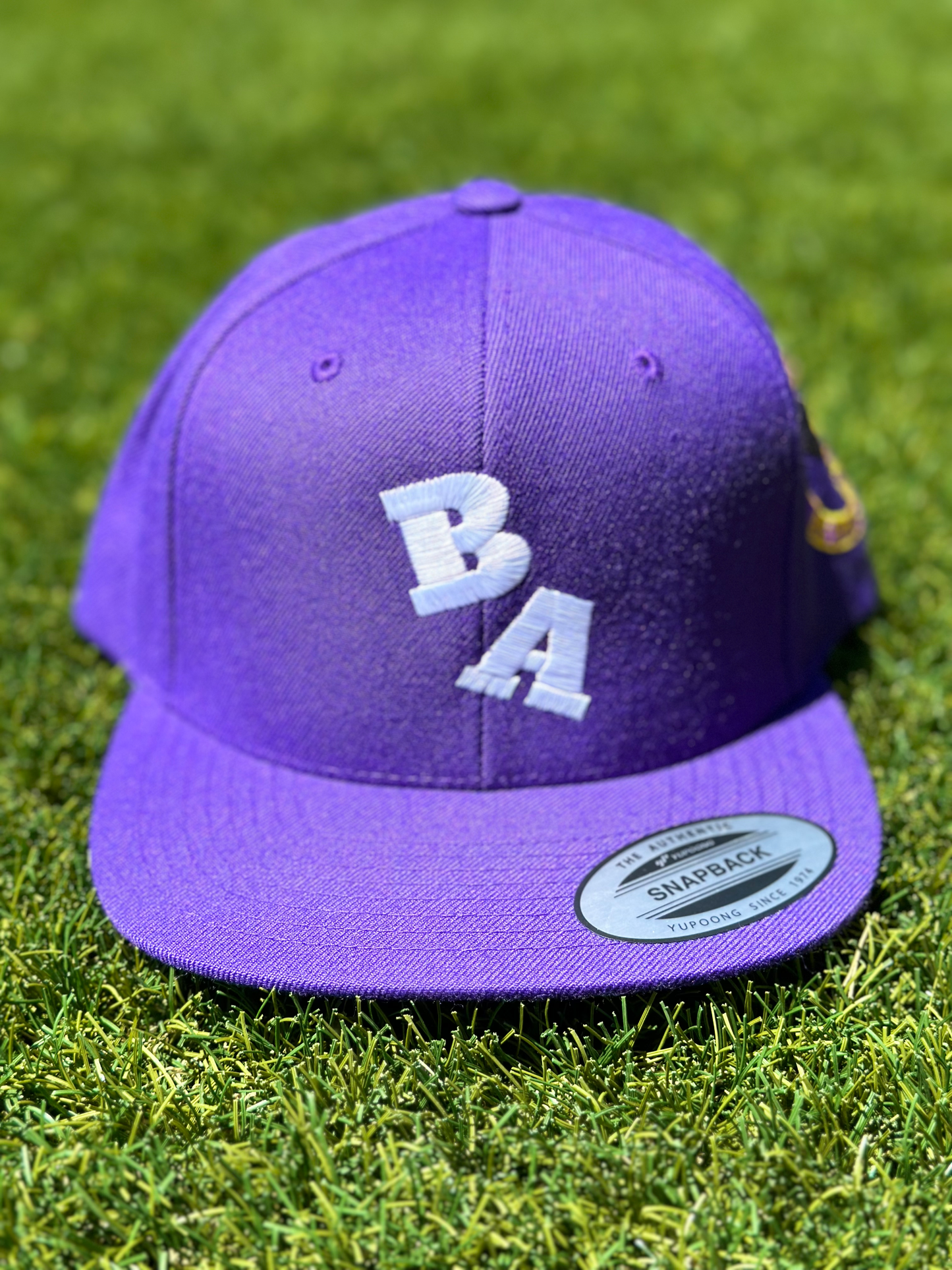 BA Stunnas 6 Panel Snapback Purple