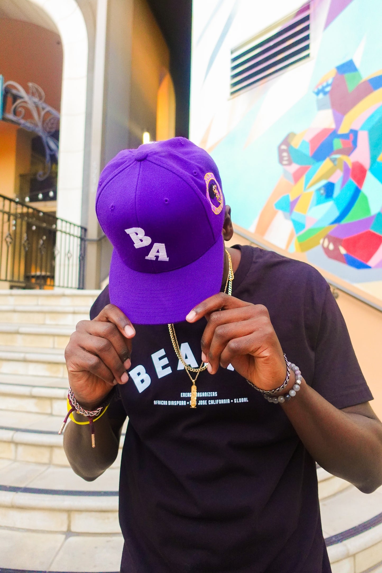 BA Stunnas 6 Panel Snapback Purple